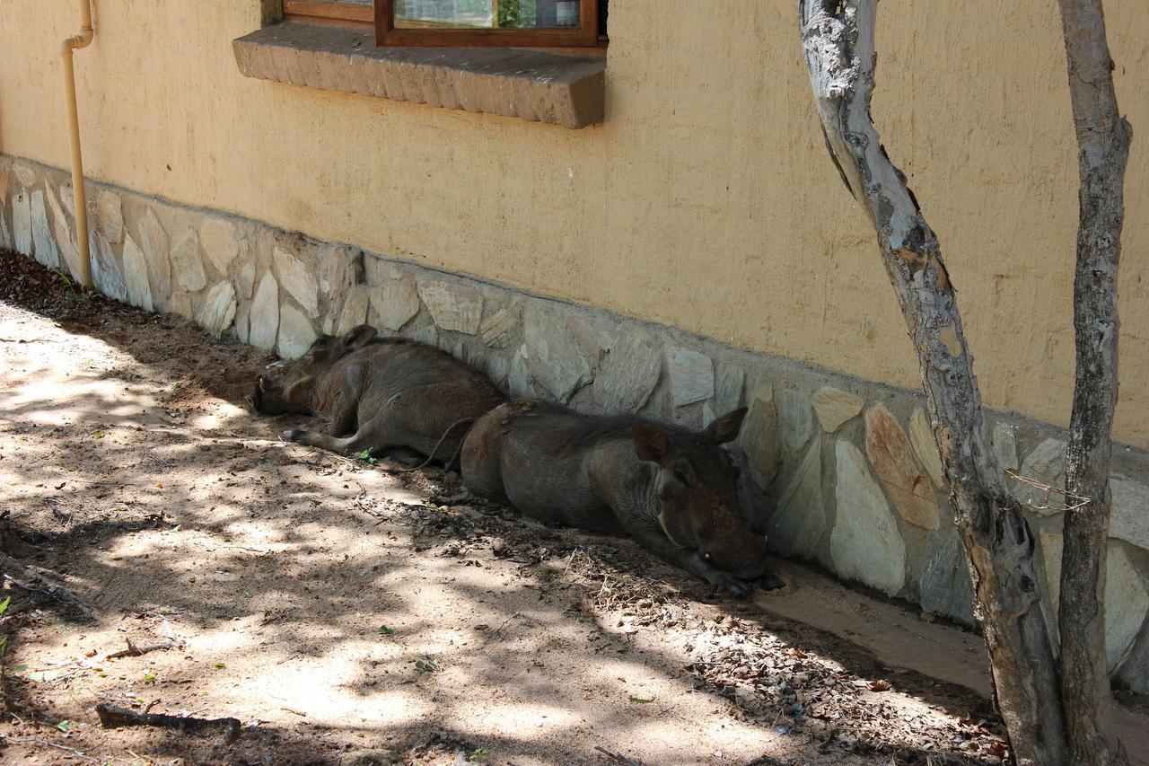 הודספרויט Woodpecker Lodge B&B מראה חיצוני תמונה