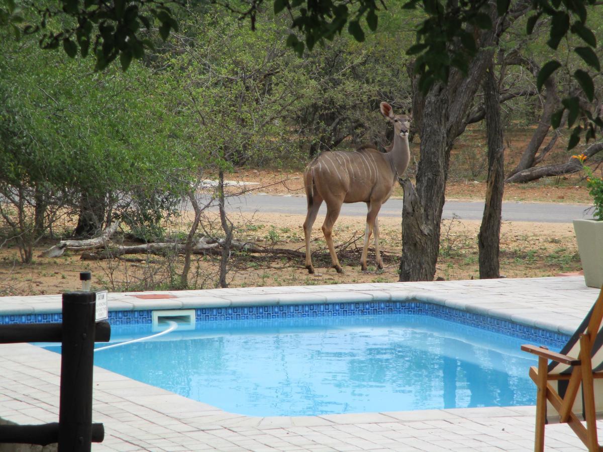 הודספרויט Woodpecker Lodge B&B מראה חיצוני תמונה